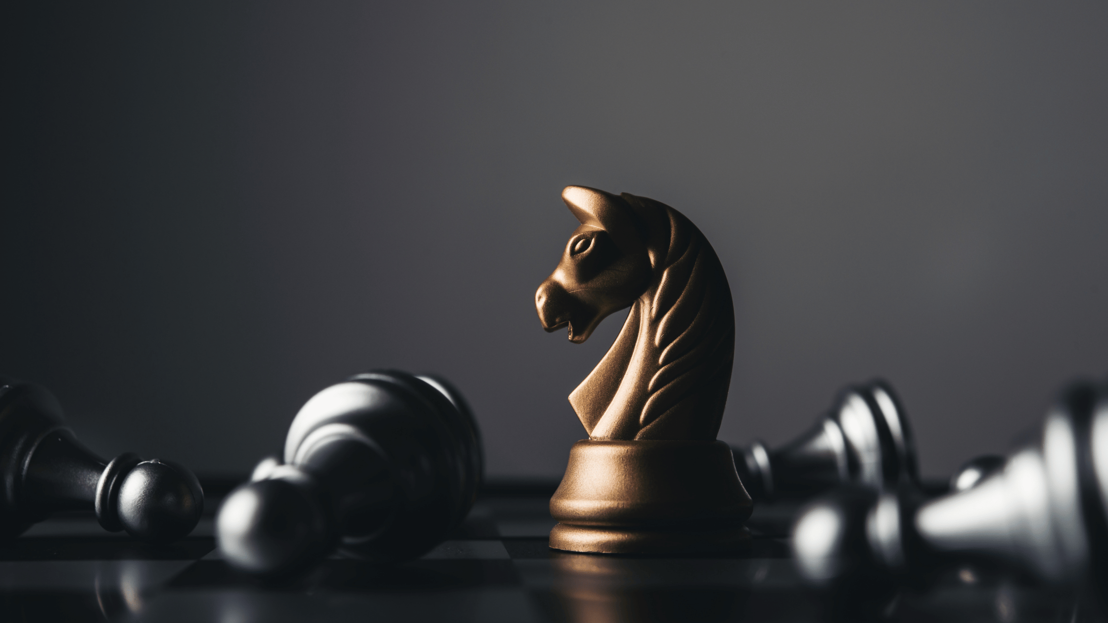 Transitioning from Founder to Leader in a Growing Business
